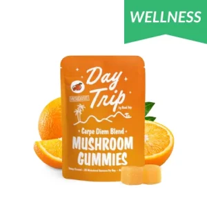Road Trip - Day Trip Microdose Mushroom Gummies