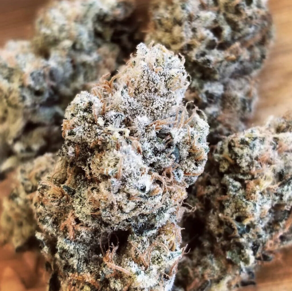 Buying Weed in New Zealand