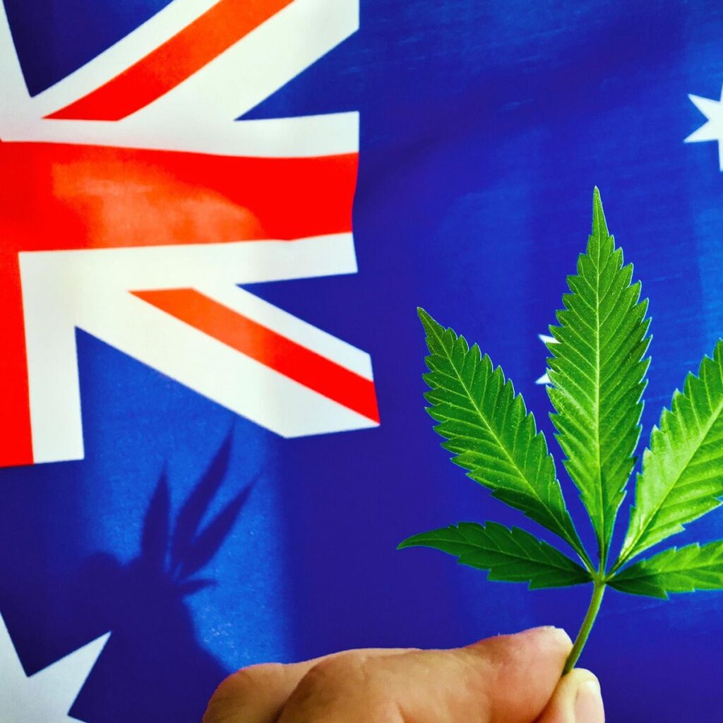 buy weed Australia